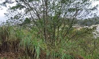 Imagem 2: Vendo excelente lote no Jardim Guanabara