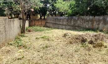 Imagem: Lote 313 m2 Bairro Sagrada Família a venda