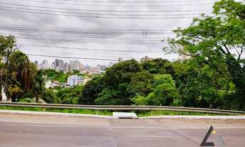 Imagem 3: Terreno na BR 116