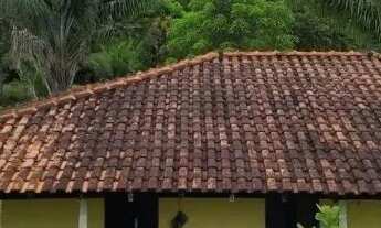 Imagem 10: IMPERDÍVEL, Sitio com Igarapé, com 10 hectares, - próximo cachoeira castanh