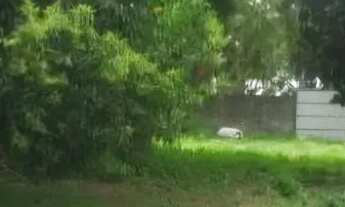 Imagem 3: Terreno à venda em Presidente Altino, Osasco - Ótima localização e infraestrutura!