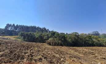 Imagem 4: Chácara 1 km da estrada da Ribeira na Embrapa