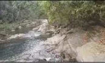 Imagem: Vendo Chácara em condomínio fechado com