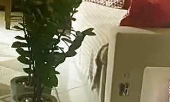 Imagem: Apartamento à venda no Santa Fé, JABOTIANA