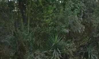 Imagem 4: Área Residencial /Almirante Tamandaré / Vila Tanguá