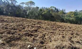 Imagem 5: Chácara 1 km da estrada da Ribeira na Embrapa