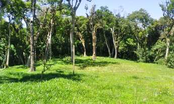 Imagem 6: Chácara em São José dos Pinhais na Malhada, Troca, Vende