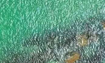 Imagem 3: Investimento ao lado da Vila Padre em Tamandaré/Carneiros-PE