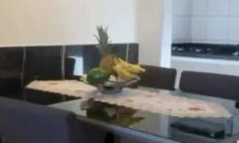 Imagem: Victoria Park Cocó nascente projetado liga