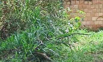 Imagem 4: Lote a venda no Setor habitacional Jardim Botânico- Brasília-DF