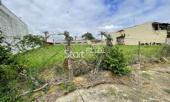 Imagem: Terreno - Nova Campinas - Campinas