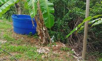 Imagem 7: Vende se chácara em bela vista de Goiás