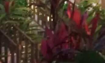 Imagem: ARRENDAMENTO