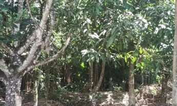 Imagem 2: Lote na 26 de Setembro