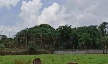 Imagem 4: Chácara 42.000 metros Chácara Recreio Samabaia