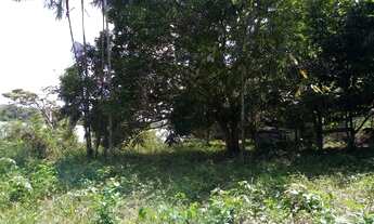 Imagem 2: Fazenda Mazagao 600 ha