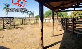 Imagem 7: Fazenda 150 Alq Região De Ituiutaba-MG