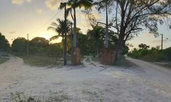 Imagem 4: Fazenda/Sítio/Chácara para venda possui 1500 metros quadrados com 3 quartos