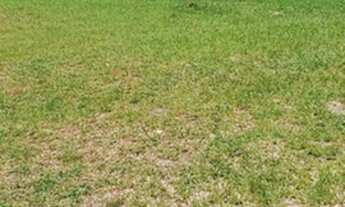 Imagem: Terreno Residencial à venda, Vila Rica