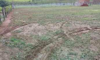 Imagem: Vendo 5 chacaras em tabapua sentido a Olimpia