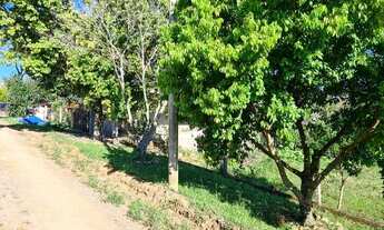 Imagem 5: Pequeno sitio, ótima localização, água de poço artesiano