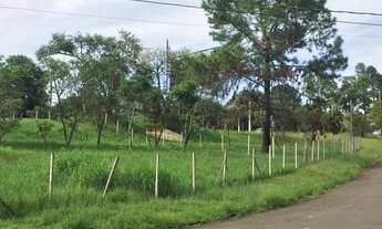 Imagem 6: Terreno - Bairro das Palmeiras - Campinas