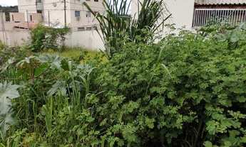 Imagem 5: Lote Bairro Cidade Nova. Cod. 064. Área 300 m², devidamente Registrado. Valor 180 mil