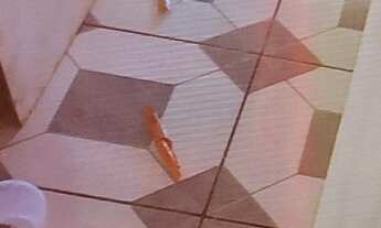 Imagem 6: Aluga se3 comados