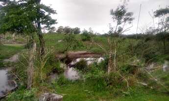 Imagem 4: 33 hectares. Boa de Agua. Terenos MS