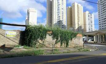 Imagem 5: Terreno - Chácara Primavera - Campinas