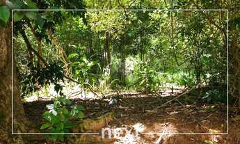 Imagem 2: Terreno - Joaquim Egídio - Campinas