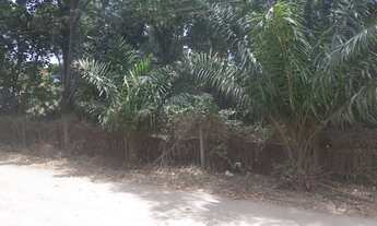 Imagem 3: Fazenda/Sítio/Chácara para venda com 8950 metros quadrados com 2 quartos