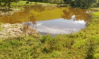 Imagem 5: Linda fazenda em Itaguara/MG bem localizada com nascente, mina e lagoa