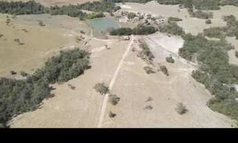 Imagem 2: Fazenda Silvania gameleira