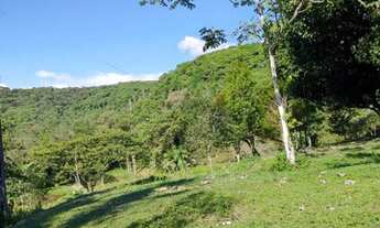 Imagem 3: Chácara próximo a Alexandra ,fica a uns 40 km de matinhos