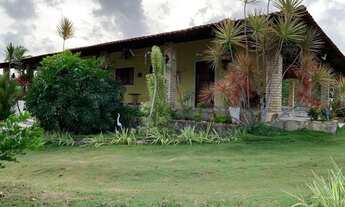 Imagem: Sitio/Granja/Fazenda em nova cruz