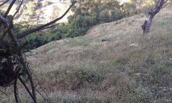 Imagem 2: Maravilhosa Chácara com 29.800m2 na serra da Mantiqueira em Delfim Moreira/MG