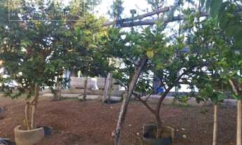 Imagem 5: Valinhos - Casa Padrão - Parque Residencial Maison Blanche