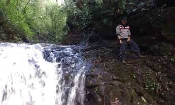 Imagem 6: Vendo Sítio em São Francisco de Paula