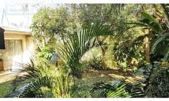 Imagem 14: São Paulo - Casa Padrão - Alto de Pinheiros