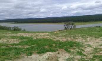 Imagem 7: Fazenda/Sítio/Chácara para venda possui 75 alqueires em Área Rural de Avaré - Avaré - SP
