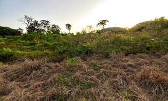 Imagem 6: Sítio 3,5 alqueires Plano ( Willian Ricardo