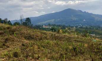 Imagem 2: Terreno 1000m² no bairro Jardim América -SP