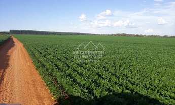 Imagem 3: Coromandel - Fazenda - Centro