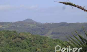 Imagem 5: NOVA PETRóPOLIS - Terreno Padrão - Centro