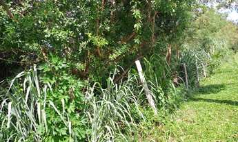 Imagem 4: TERRENO ENCONTRO DAS AGUAS