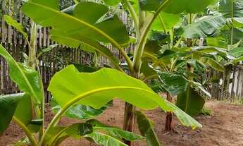 Imagem 5: TERRENÃO COM 2 CASAS SUPER LOCALIZADO!!