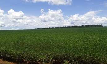 Imagem 2: Fazenda proximo Sinóp-MT