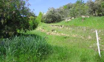 Imagem 2: Terreno - Colinas do Ermitage - Campinas