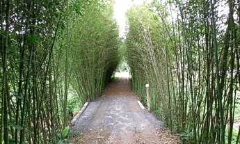 Imagem 7: Imperdível 10mil m2 com matrícula próx. a praia Boiçucanga